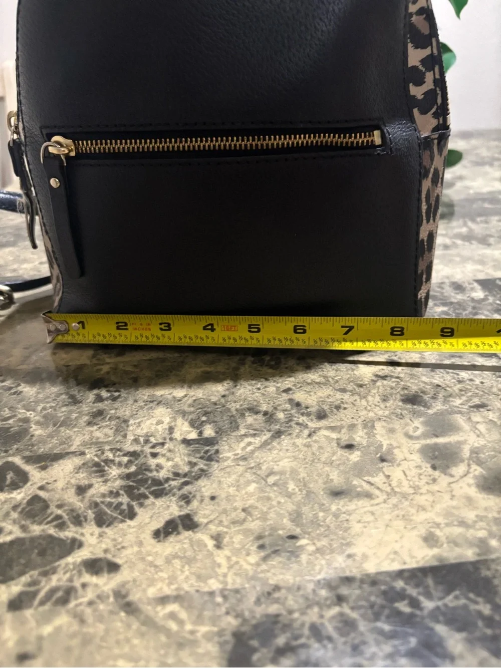 kate spade Leopard Accent Black Mini Backpack